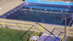 Whirlpool koupaliště Rusava