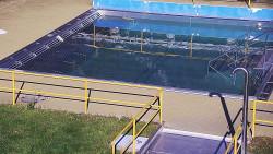 Whirlpool koupaliště Rusava