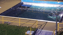 Whirlpool koupaliště Rusava