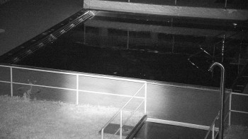 Snímek 7.11.2025 v 03:00