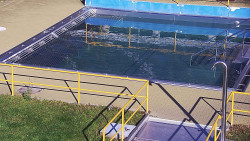 Whirlpool koupaliště Rusava