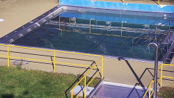 Whirlpool koupaliště Rusava