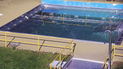 Whirlpool koupaliště Rusava