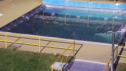 Whirlpool koupaliště Rusava