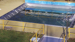 Whirlpool koupaliště Rusava