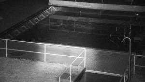 Koupaliště Rusava - Whirlpool koupaliště Rusava - 5.2.2026 v 22:30 Koupaliště Rusava - Whirlpool koupaliště Rusava - 5.2.2026 v 22:30