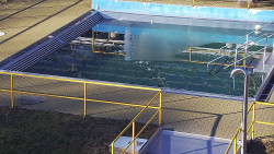 Whirlpool koupaliště Rusava