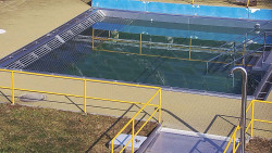 Whirlpool koupaliště Rusava