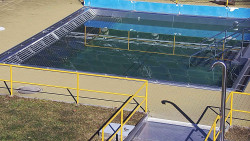 Whirlpool koupaliště Rusava