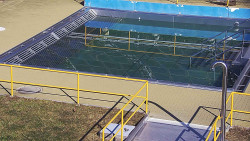 Whirlpool koupaliště Rusava