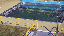 Whirlpool koupaliště Rusava