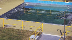 Whirlpool koupaliště Rusava