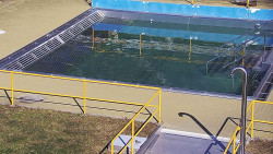 Whirlpool koupaliště Rusava