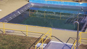 Koupaliště Rusava - Whirlpool koupaliště Rusava - 10.3.2026 v 10:30 Koupaliště Rusava - Whirlpool koupaliště Rusava - 10.3.2026 v 10:30