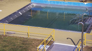 Koupaliště Rusava - Whirlpool koupaliště Rusava - 10.3.2026 v 11:30 Koupaliště Rusava - Whirlpool koupaliště Rusava - 10.3.2026 v 11:30