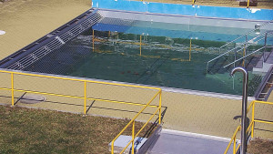 Koupaliště Rusava - Whirlpool koupaliště Rusava - 10.3.2026 v 12:30 Koupaliště Rusava - Whirlpool koupaliště Rusava - 10.3.2026 v 12:30