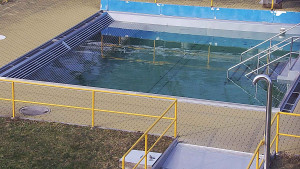 Koupaliště Rusava - Whirlpool koupaliště Rusava - 10.3.2026 v 15:30 Koupaliště Rusava - Whirlpool koupaliště Rusava - 10.3.2026 v 15:30