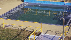 Whirlpool koupaliště Rusava