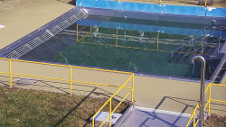 Whirlpool koupaliště Rusava