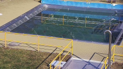 Whirlpool koupaliště Rusava