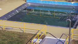 Whirlpool koupaliště Rusava