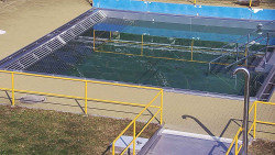 Whirlpool koupaliště Rusava