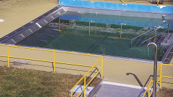 Whirlpool koupaliště Rusava