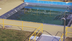 Whirlpool koupaliště Rusava