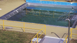 Whirlpool koupaliště Rusava