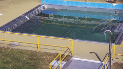 Whirlpool koupaliště Rusava