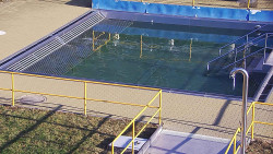 Whirlpool koupaliště Rusava