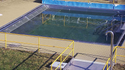 Whirlpool koupaliště Rusava