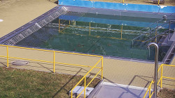 Whirlpool koupaliště Rusava