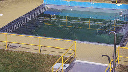 Whirlpool koupaliště Rusava