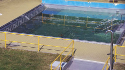 Whirlpool koupaliště Rusava