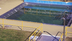 Whirlpool koupaliště Rusava