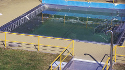 Whirlpool koupaliště Rusava