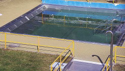 Whirlpool koupaliště Rusava