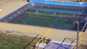 Koupaliště Rusava - Whirlpool koupaliště Rusava - 22.3.2026 v 09:30 Koupaliště Rusava - Whirlpool koupaliště Rusava - 22.3.2026 v 09:30