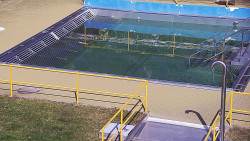 Whirlpool koupaliště Rusava