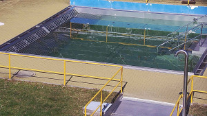 Koupaliště Rusava - Whirlpool koupaliště Rusava - 23.3.2026 v 12:30 Koupaliště Rusava - Whirlpool koupaliště Rusava - 23.3.2026 v 12:30