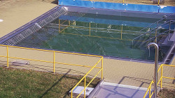 Whirlpool koupaliště Rusava