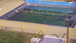 Whirlpool koupaliště Rusava