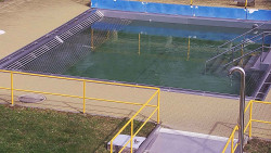 Whirlpool koupaliště Rusava