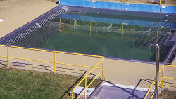 Whirlpool koupaliště Rusava