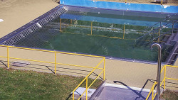 Whirlpool koupaliště Rusava