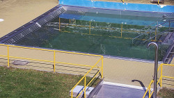 Whirlpool koupaliště Rusava