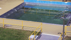 Whirlpool koupaliště Rusava