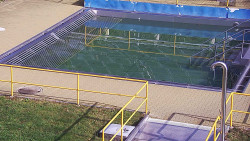 Whirlpool koupaliště Rusava