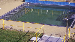 Whirlpool koupaliště Rusava